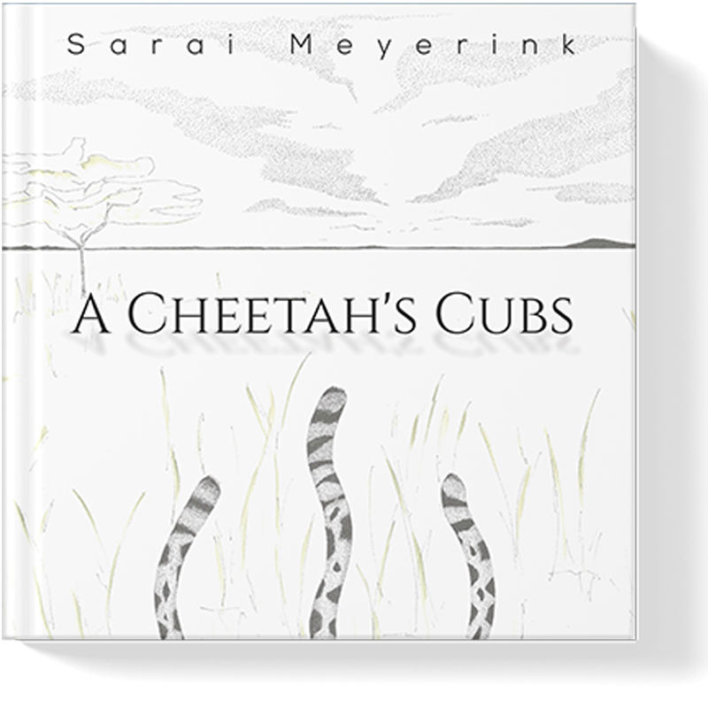 a-cheetahs-cubs-sarai-meyerink a cheetahs cubs book by sarai meyerink