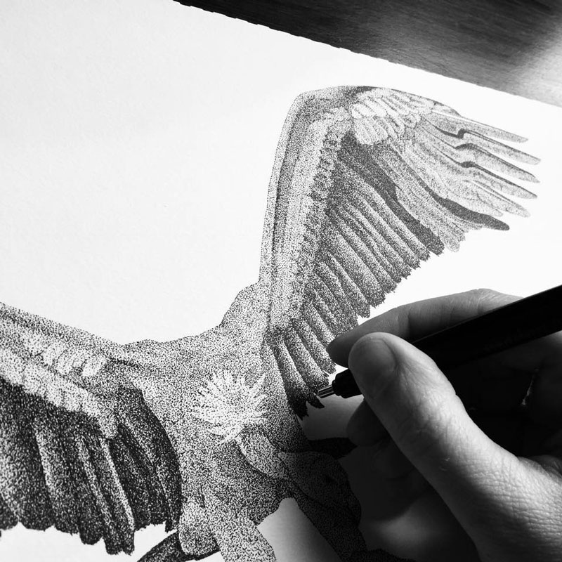 sarai-meyerink-illustrator-artist sarai meyerink illustrator and artist