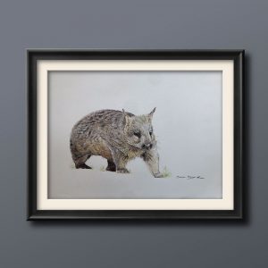 wombat illustration by sarai meyerink