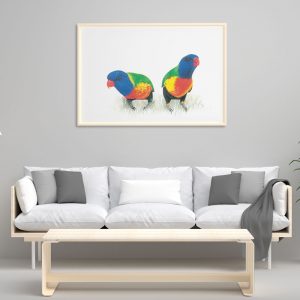 two rainbow lorikeets