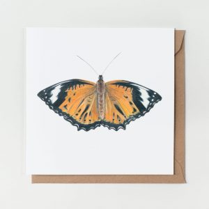 greeting cards by sarai meyerink