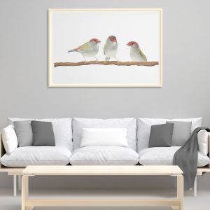 red browed fire tail finch illustration and print