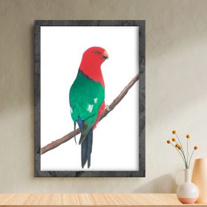 king parrot back illustration print