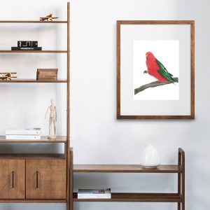 king parrot eating illustration