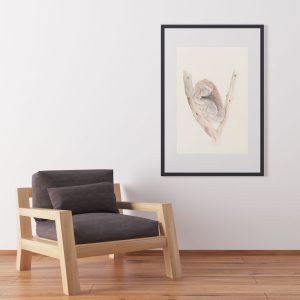 koala illustration prints