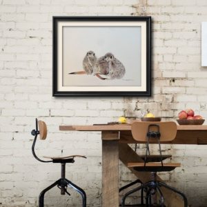 meerkats illustration australia