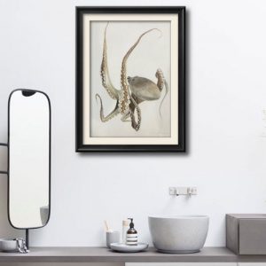 octopus illustration and prints