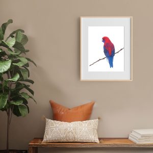 rosella prints and illustrations