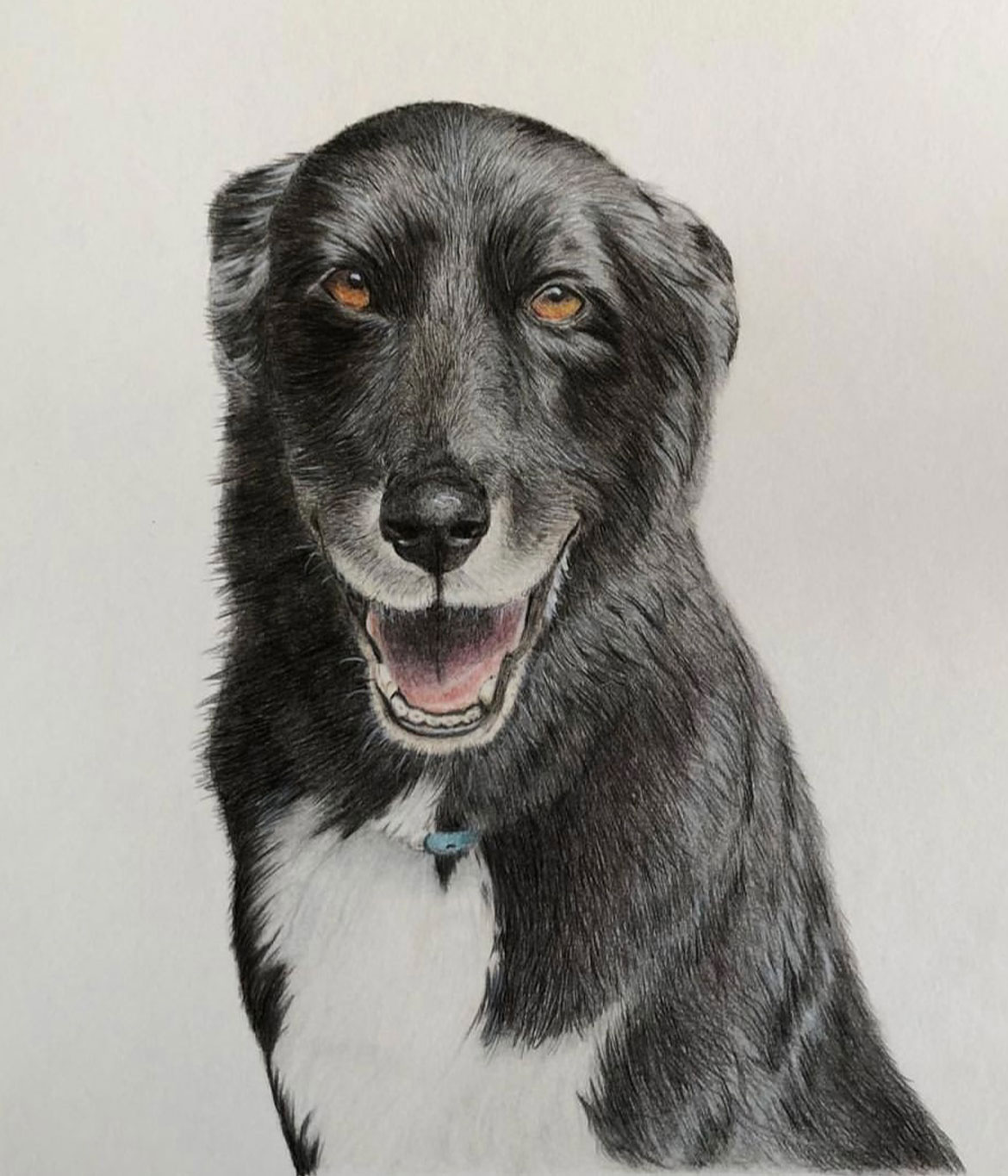 commission-dog commission dog illustration by sarai meyerink